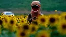 Seseorang dengan kostum melintasi ladang bunga matahari di Grinter Farms, dekat Lawrence, Kansas pada 7 September 2020. Ladang seluas 26 acre yang ditanam setiap tahunnya oleh keluarga Grinter itu menarik ribuan pengunjung selama akhir musim panas saat mekarnya bunga. (AP Photo/Charlie Riedel)