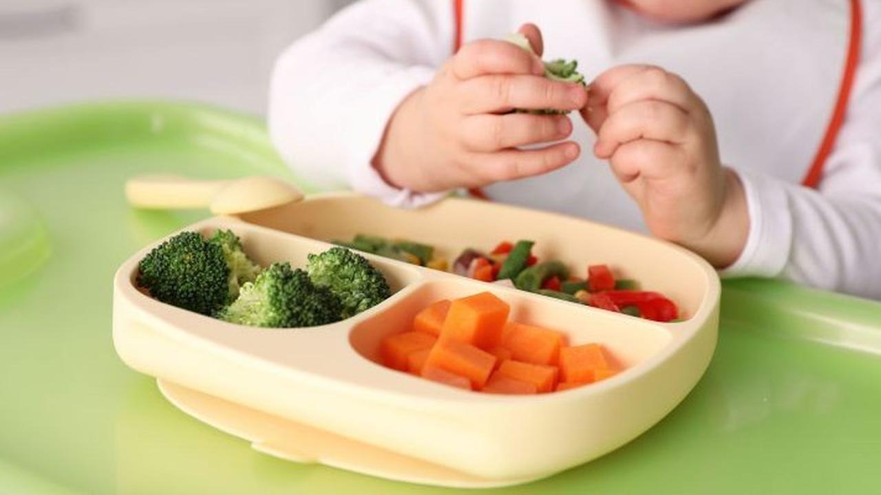 Viral Sekolah Diduga Wajibkan Wali Murid Beli Tempat Makan buat Program Makan Gratis, Segini Harganya