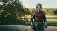 Ant-Man 2 alias Ant-Man and the Wasp akan mulai syuting pada bulan Juni 2017. (Via: Bustle)