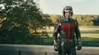 Tampilan Perdana Ant-Man and the Wasp Bikin Fans Tak Puas