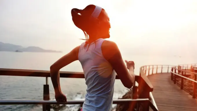 Copyright by Shutterstok.com