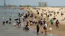 Orang-orang berkumpul dengan anjing mereka di Montrose Dog Beach Chicago, Selasa (27/4/2021). Warga Amerika Serikat (AS) yang telah menerima vaksin COVID-19 tidak lagi diwajibkan mengenakan masker saat berada di luar ruangan kecuali berada di tengah kerumuman orang asing. (AP Photo/Shafkat Anowar)