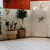 Ternyata alasan-alasan berikut yang mengakibatkan tumbuh jamur di lantai kamar mandi./copyright pexels/cottonbro studio