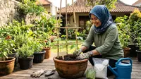 Cara Menanam Buncis di Pot untuk Kebun Rumah, Tak Perlu Lahan Luas