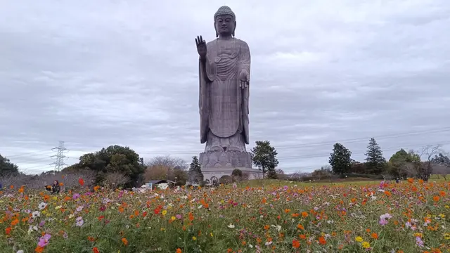 Di bawah kaki Patung Buddha, kita bisa menikmati taman seluas 10.000 meter yang penuh dengan yang bunga mekar sepanjang tahun.
