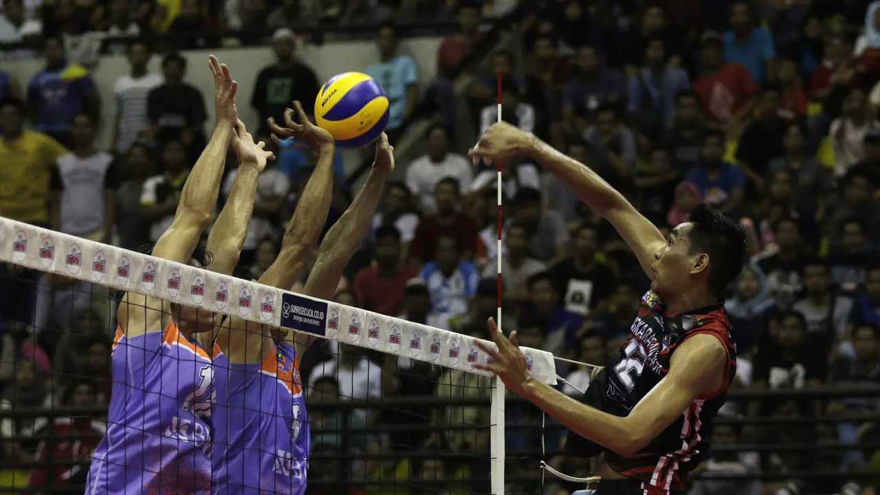 Proliga 2019