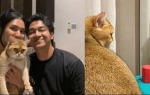Deva Mahenra dan Mikha Tambayong Pamer Peliharaan Kucing, Bilang Lebih Baik Tinggal Sama Hewan Daripada dengan Ipar