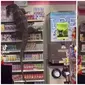 Viral biawak acak-acak barang di minimarket yang bikin kaget penjaga dan pelanggan toko. (Sumber: TikTok/@thesamtyler)