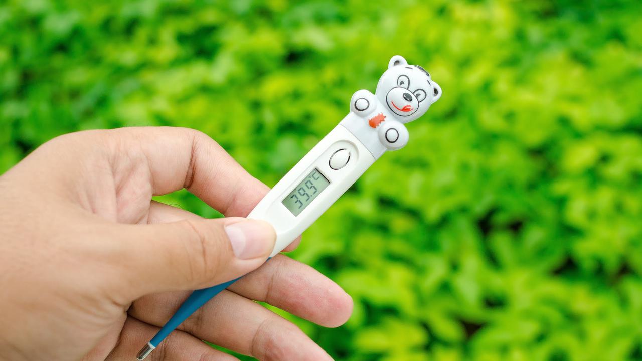Alat untuk Mengukur Suhu Adalah Termometer, Kenali Jenis dan Cara ...
