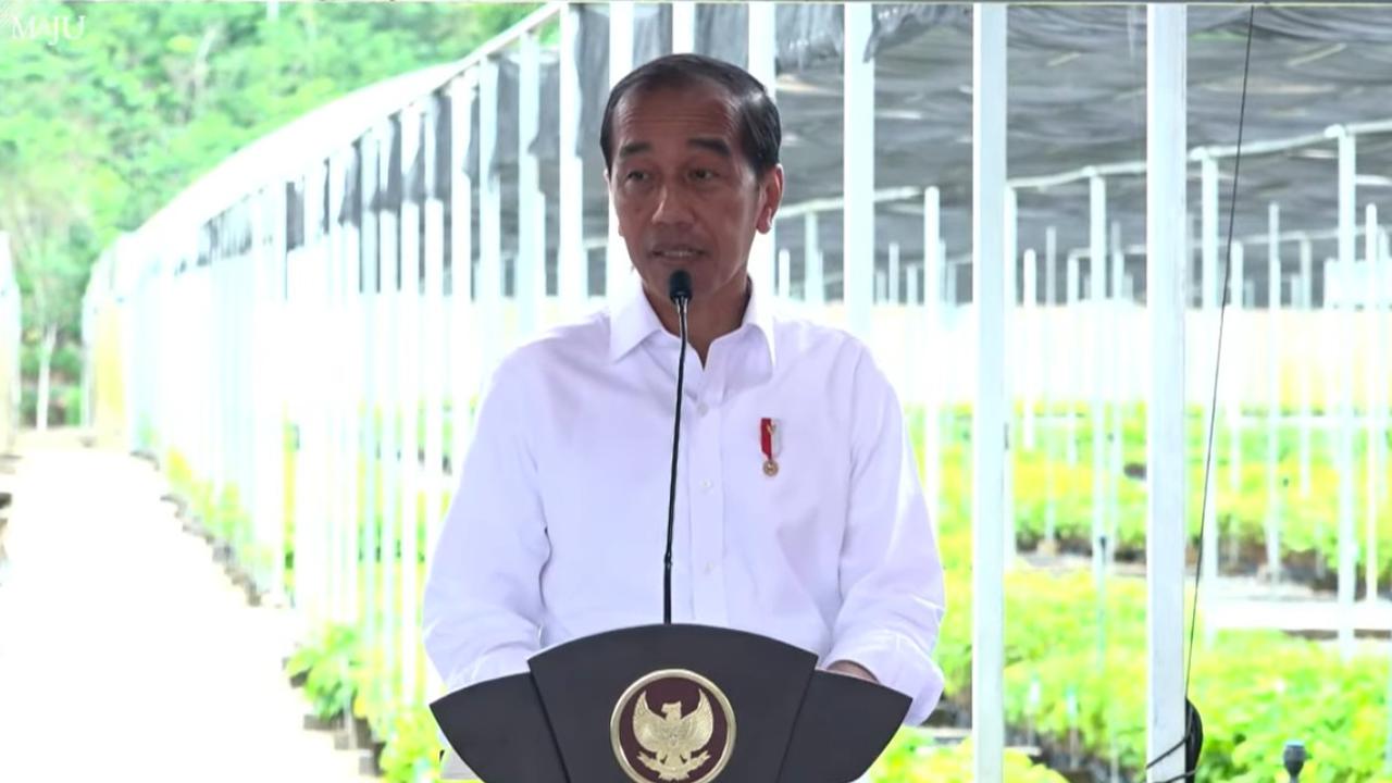 Jokowi saat peresmian saat meresmikan Pusat Persemaian Mentawir di Kabupaten Penajam Paser Utara, Kalimantan Timur. (Istimewa)