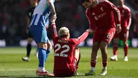 Hugo Ekitike Harus Ditarik Keluar saat Liverpool Bertandang ke Markas Brighton, Cederanya Parah?