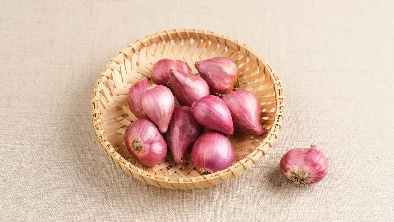 Ilustrasi bawang merah