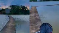Viral Pemotor Wanita Seberangi Jembatan Sempit di Tengah Danau (Sumber: TikTok @ni_tiwicahya)