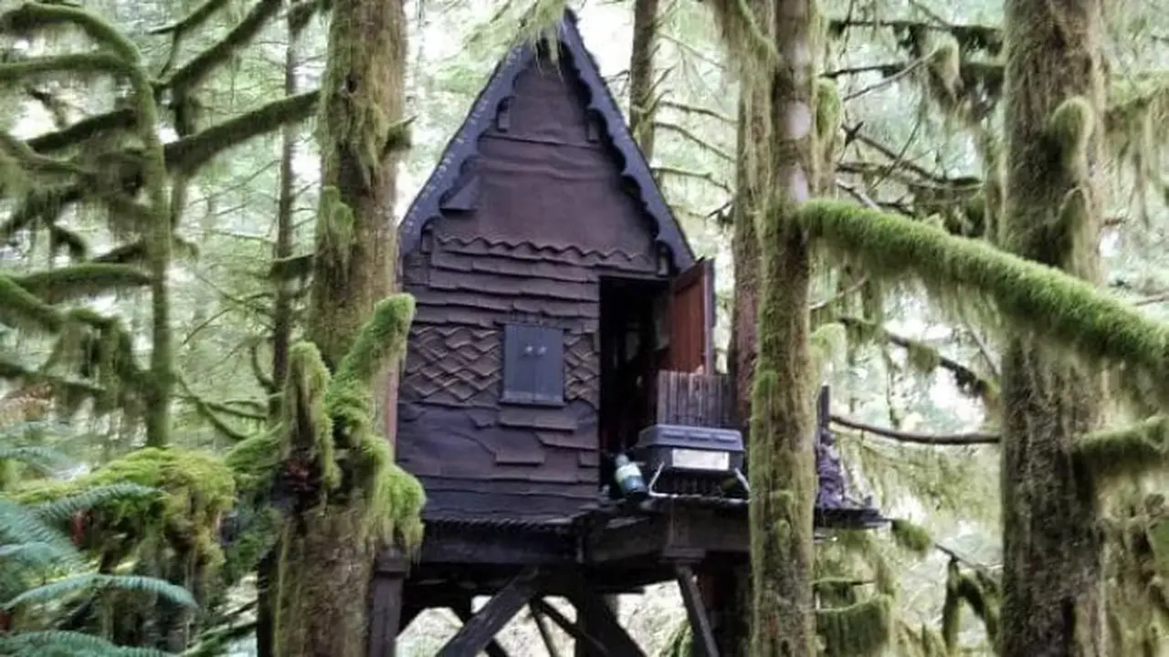 Rumah pohon