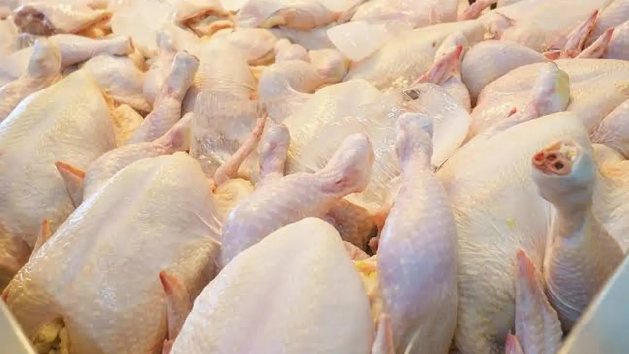 Ilusrasi Daging Ayam di Jember (Istimewa)