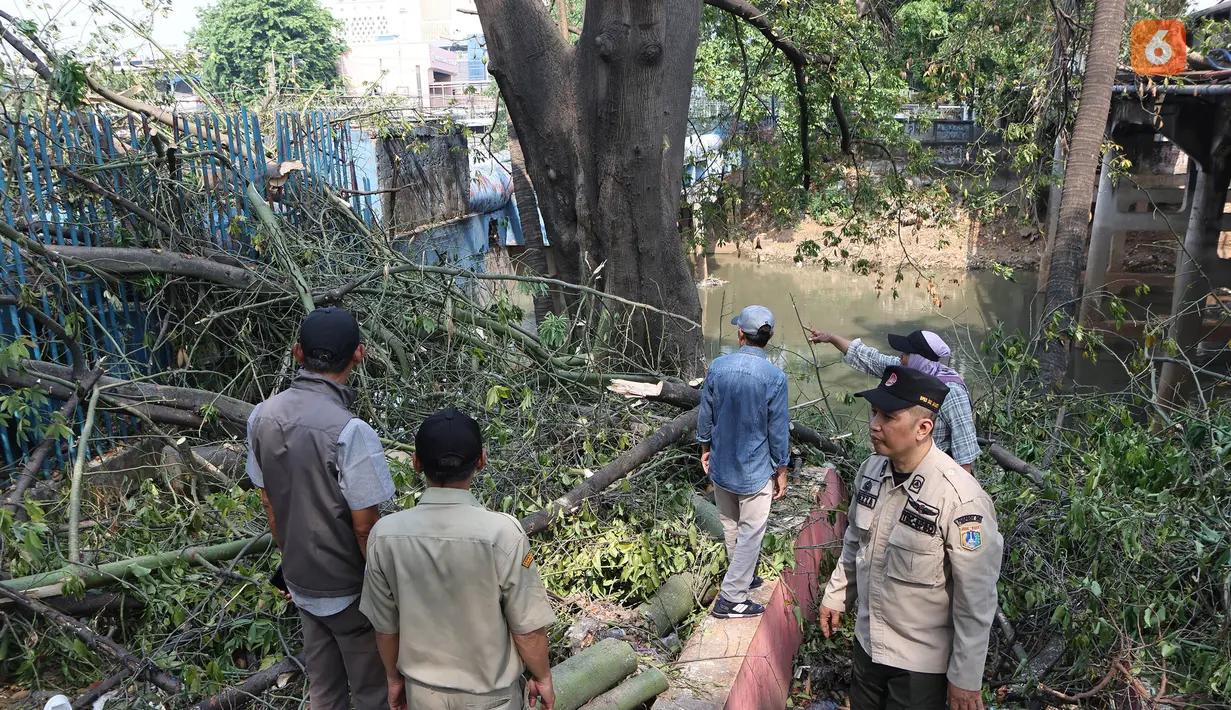 Petugas gabungan melaksanakan razia peredaran obat tramadol di kawasan KS Tubun, Tanah Abang, Jakarta Pusat, Selasa (13/10/2026). Tramadol merupakan obat pereda nyeri yang penggunaannya harus berdasarkan resep dan pengawasan tenaga medis untuk menghindari risiko kesehatan akibat penyalahgunaan. (KLY/Budy Santoso)