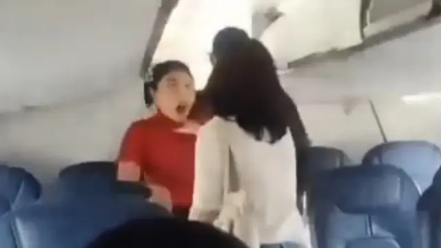 Wings Air