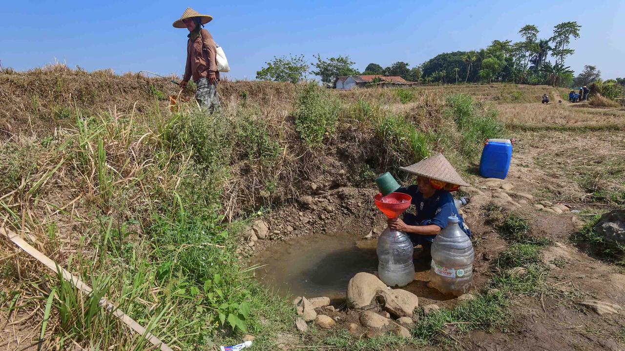 Warga Bertahan dari Kubangan Bekas Sawah di Tengah Kekeringan