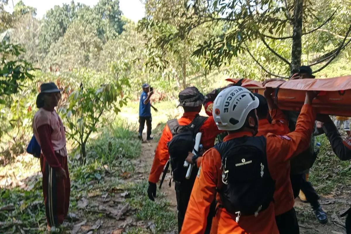 Proses evakuasi nenek asal Dusun Rambakulu Harapan, Desa Torpedo Jaya, Kecamatan Sabbang Selatan, Kabupaten Luwu Utara, yang sempat hilang. (Liputan6.com/Fauzan)