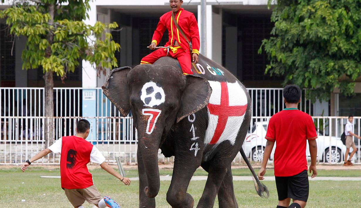 Pertandingan sepak bola gajah digelar di provinsi Ayutthaya, Thailand, (9/6/2014) sebagai bagian dari kampanye untuk mempromosikan Piala Dunia 2014 dan mencegah perjudian selama berlangsungnya kompetisi. (REUTERS/Chaiwat Subprasom)