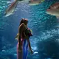 Mahasiswi biologi laut Brasil Isabela Cardoso (21) berenang seperti putri duyung di Rio de Janeiro Aquarium, Brasil (14/1). Aksi Isabela tersebut untuk memprotes bahaya pencemaran laut dalam kehidupan laut di Rio de Janeiro. (AFP Photo/Mauro Pimentel)