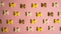 Homemade Dog Biscuit Recipe: 4 Simple Ideas That Your Puppy Will Love