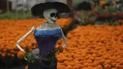 Catrina, boneka tengkorak, berdiri di atas ladang bunga cempasuchil di sebuah peternakan di Xochimilco, Mexico City, Rabu (19/10/2022). Mereka digunakan untuk menghiasi kuburan dan persembahan bersama dengan lilin, makanan khusus untuk Day of the Dead dan barang-barang lainnya. (AP Photo/Marco Ugarte)