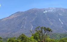 Area Terbakar Capai 100 Ha, Apa Kendala Pemadaman Kobaran Api di Lereng Gunung Agung