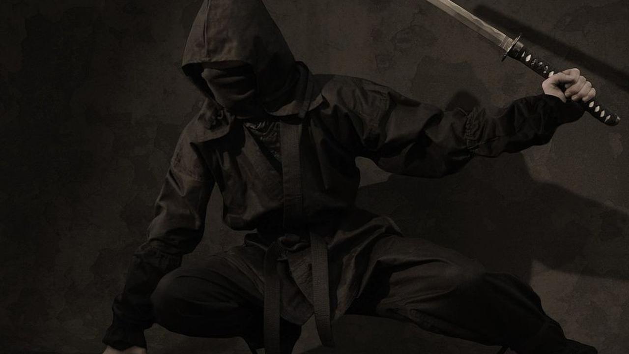 Sejarah Ninja dimulai saat Jepang diperintah para shogun dan samurai. Bahkan lebih tua dari itu. Mereka dipercaya untuk melakukan tugas-tugas khusus yang tak biasa dilakukan prajurit biasa. Misi mereka seringkali rahasia.