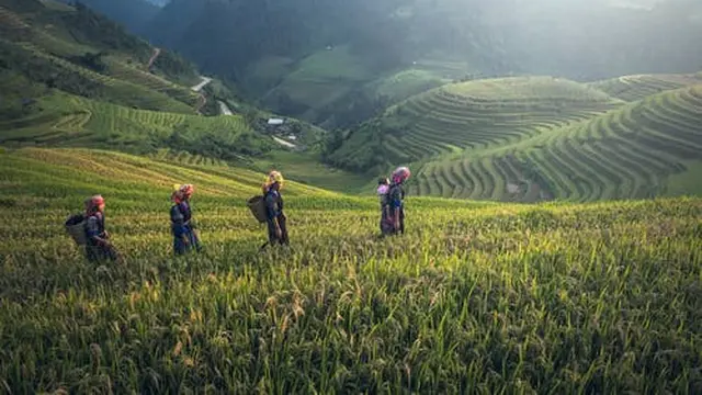Dasar Hukum Mukhabarah