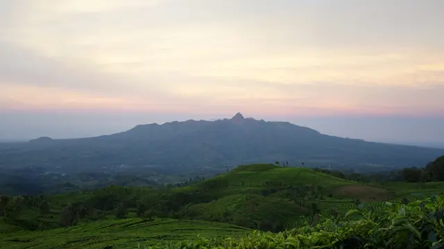 Tempat Wisata di Blitar