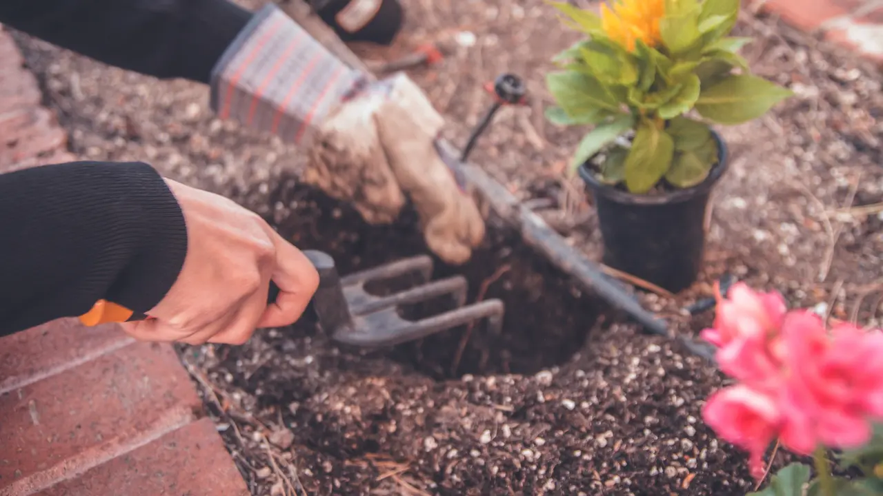 Berkebun/unsplash neonbrand