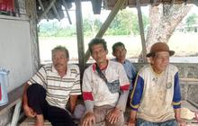 Pemkab Lebak Dampingi Petani Lokal Pasok Sayuran MBG, Tingkatkan Ekonomi Daerah