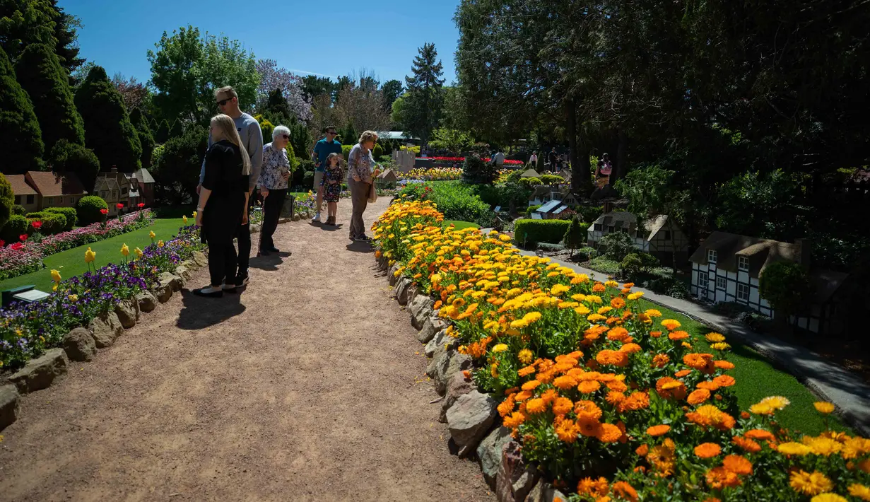 Sejumlah orang mengamati berbagai bunga dalam festival bunga tahunan Floriade di Canberra, Australia, pada 11 Oktober 2020. (Xinhua/Chu Chen)