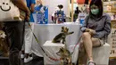 Seekor anjing menjangkau seorang wanita di Pet Expo Thailand 2021 tahunan di Bangkok (25/11/2021). Pet Expo Thailand 2021 diselenggarakan dari 25-28 November 2021 mulai pukul 10.00-20.00. (AFP/Jack Taylor)