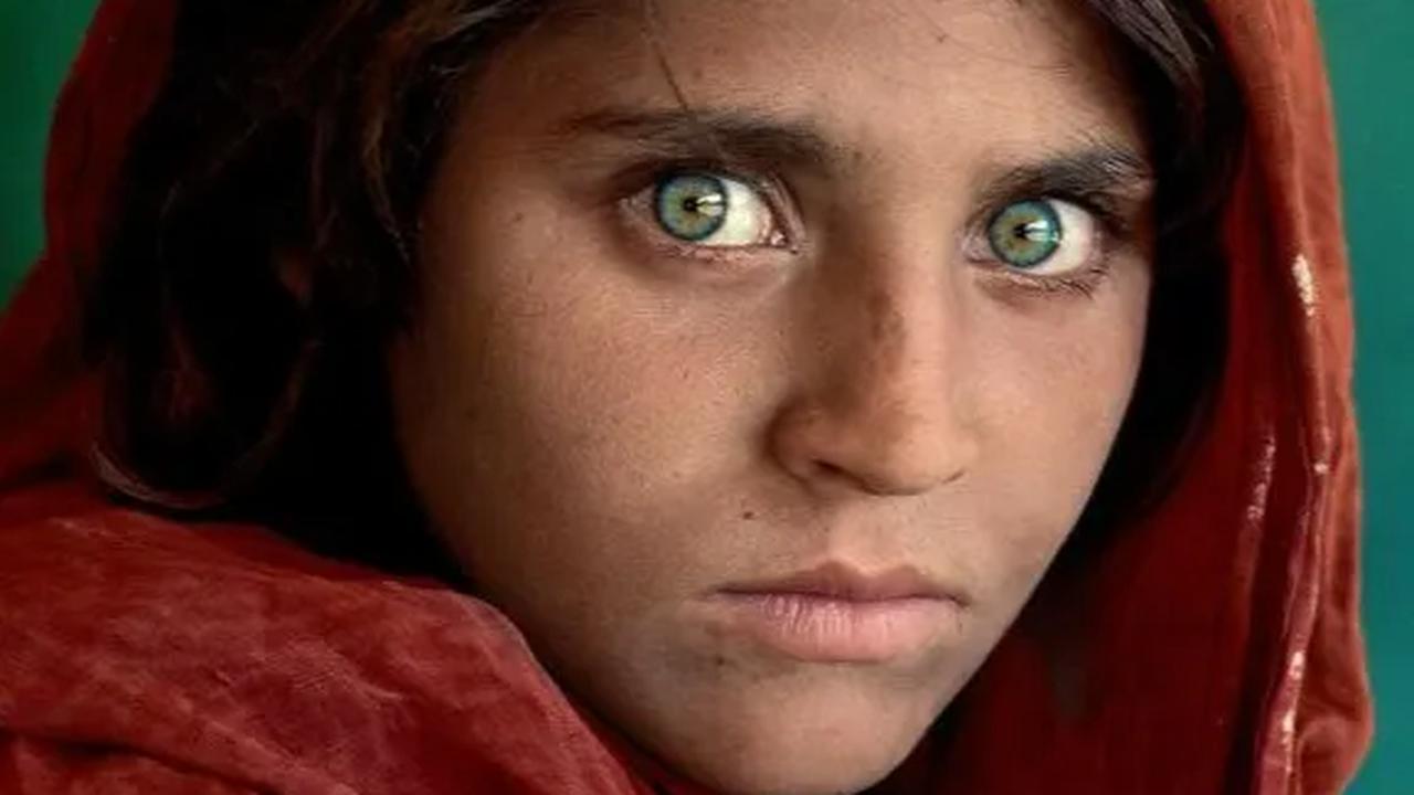 Afghan Girl - Steve McCurry, 1984