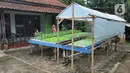 Warga melakukan panen sayuran pakcoy dengan sistem hidroponik di halaman rumahnya di Bojongsari, Depok, Jawa Barat, Senin (7/3/2022). Panen sayuran pakcoy dengan sistem hidroponik dapat menghasilkan pendapatan rata-rata 2 juta hingga Rp 2,5 juta/bulan. (merdeka.com/Arie Basuki)