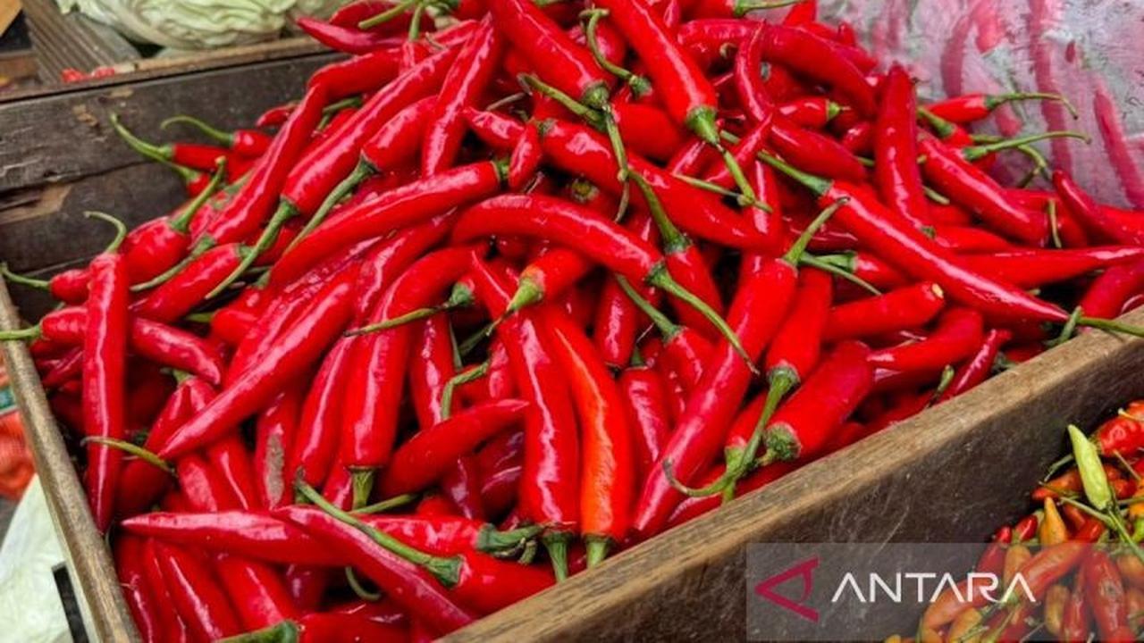 Harga Pangan Nasional: Cabai Rawit Merah dan Telur Ayam Ras Alami Fluktuasi