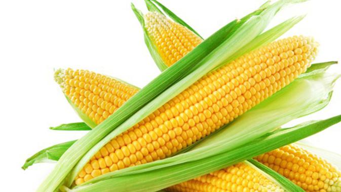 5 Manfaat  Jagung  Muda Untuk Kecantikan Kulit  Beauty 