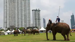 Para pemain Polo menunggang gajah berebut bola saat mengikuti turnamen Elephant Polo King's Cup di Bangkok, Thailand (8/3). Acara amal ini memperebutkan Piala Raja Gajah yang digelar tiap tahun. (AP Photo / Sakchai Lalit)