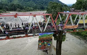 Habitat Orangutan Tapanuli Terancam Ekspansi Lahan