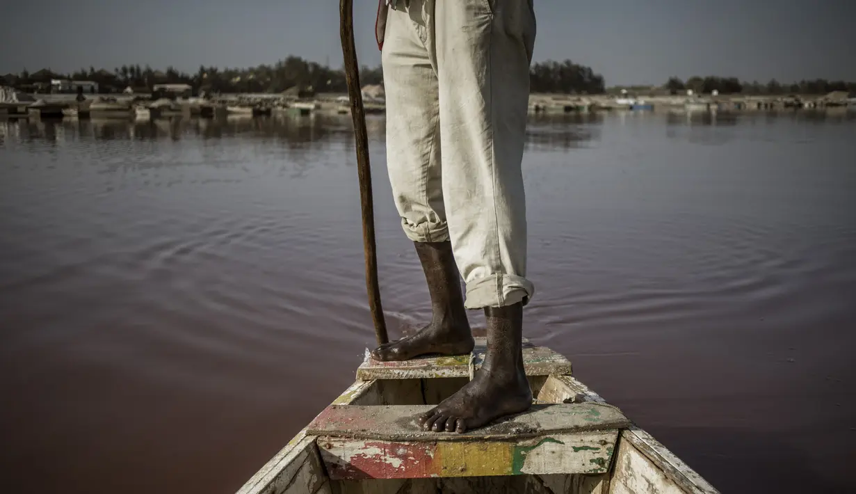Seorang pemandu wisata mendorong tongkangnya melewati perairan merah muda Danau Retba (Danau Merah Muda) di Senegal pada 16 Maret 2021. Selayaknya air dengan kandungan garam pekat, orang-orang pun tidak akan bisa berenang di sana karena akan mengambang di permukaan danau. (MARCO LONGARI/AFP)