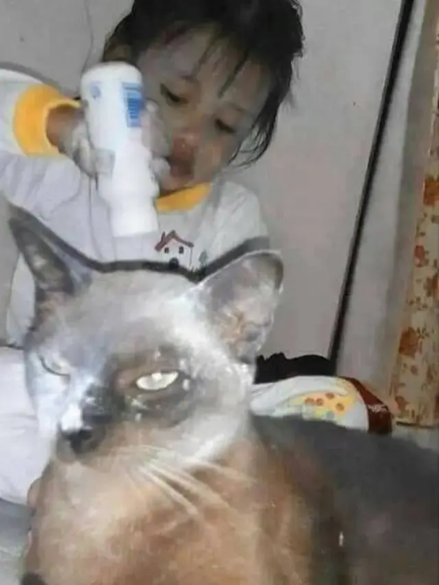10 Aksi Absurd Bocah yang Buat Rumah Berantakan Ini Bikin Kesal