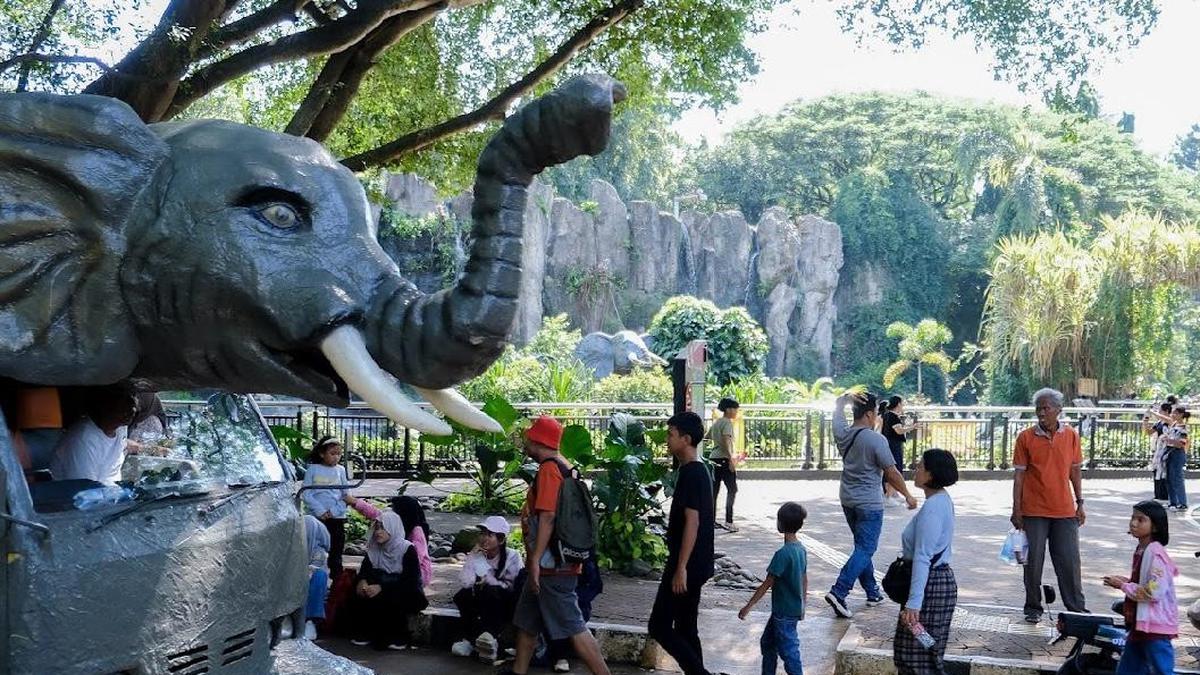 Harga Tiket Ragunan 2025, Destinasi Wisata untuk Keluarga