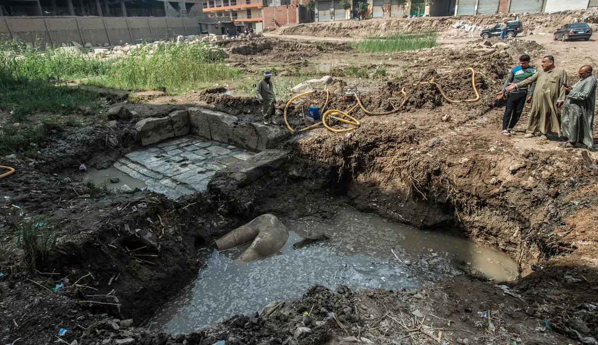Lokasi ditemukannya patung raja-raja dari dinasti XIX (1295-1185 SM) yang digali di sekitar Kuil Ramses II oleh tim arkeolog Jerman-Mesir di distrik Mattarya, Kairo, Kamis (9/3). (AFP Photo/KHALED DESOUKI)