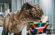 Dinosaurus Berubah Jadi “Ayam” Gara-gara Letusan Gunung Berapi yang Dahsyat