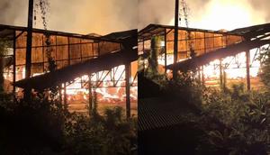 Kebakaran hebat melanda sebuah pabrik kertas di Jalan Lintas Sumatera, Desa Bujung Tenuk, Kecamatan Terbanggi Besar, Kabupaten Lampung Tengah, Kamis, 30 April 2026 malam. Foto: (Liputan6.com/Ardi Munthe).