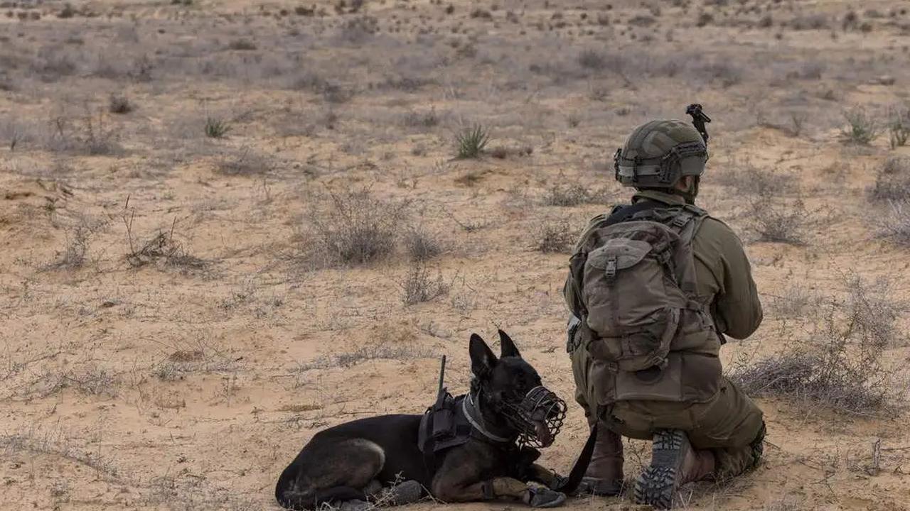 Negara-negara Maju Ini Punya Pangkalan Militer di Luar Negeri, Ada Salah Satunya di Indonesia?