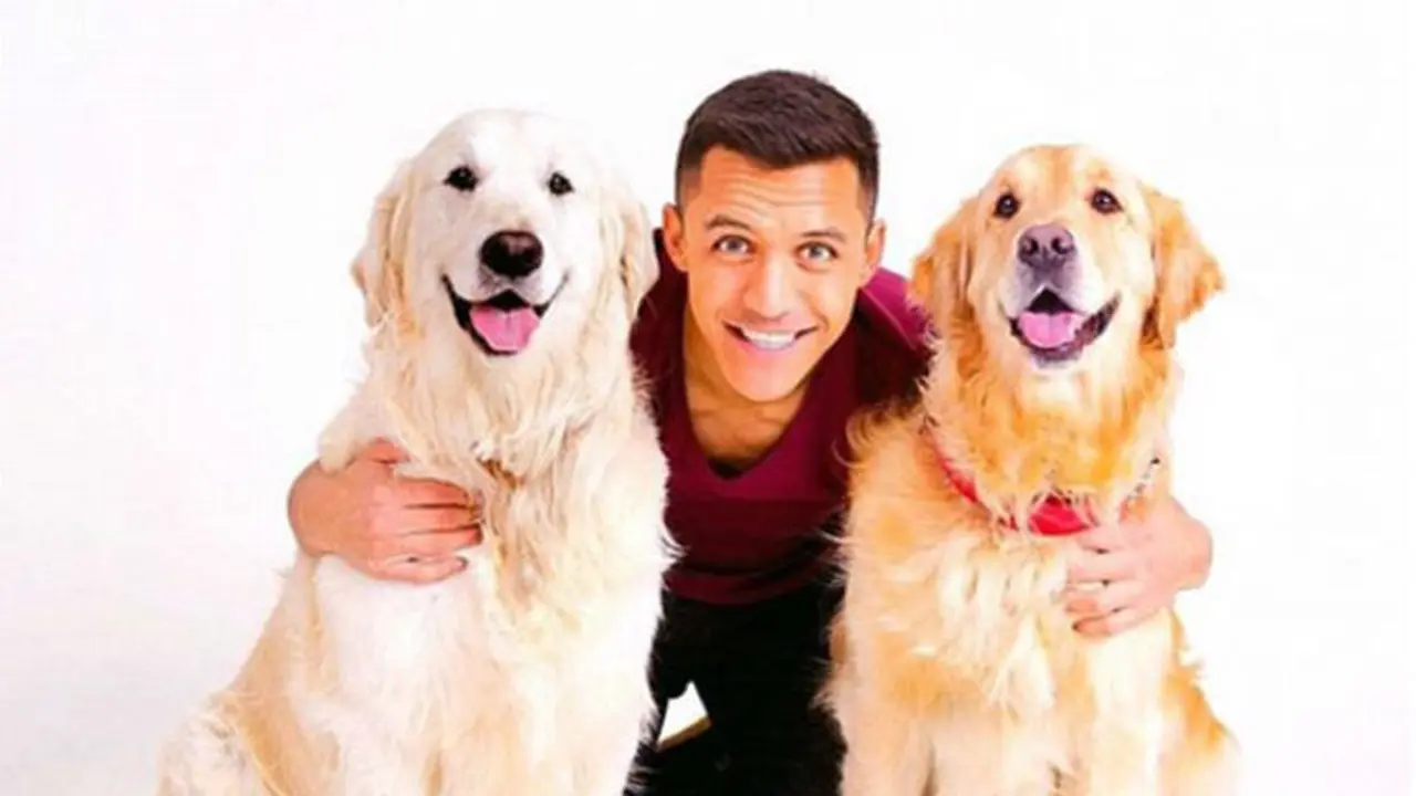 Alexis Sanchez dan dua anjing kesayangan jenis golden retrivers