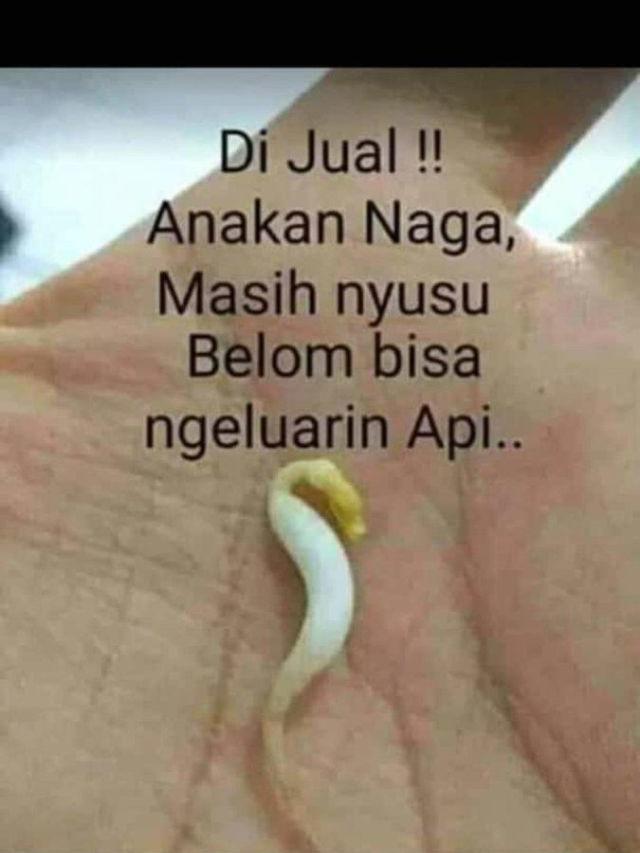 6 Status WhatsApp Ibu-Ibu Tentang Bahan Masakan Ini Kocak